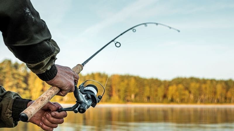 Fourth Early-Bird Prize